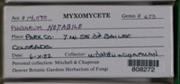 Image Associated With the Occurence